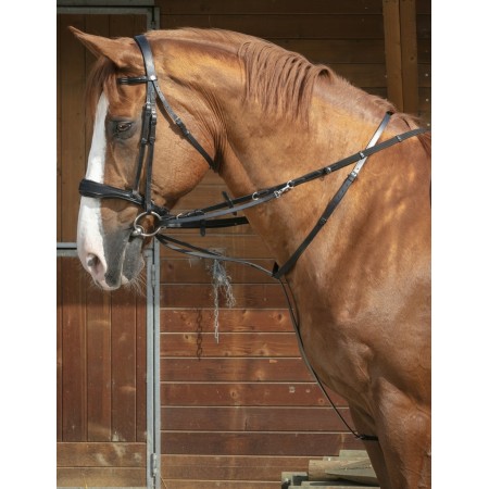 Sistema Thiedeman o Howlett Norton Pro
