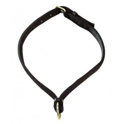 Collar para caballo de Apollo