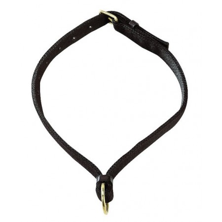Collar para caballo de Apollo