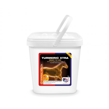 EQUINE TURMERIC 3 kg