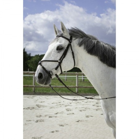 Cabezada de montar con muserola mejicana Riding Word 