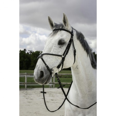 Cabezada de montar con muserola mejicana Riding Word 
