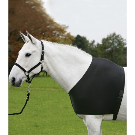 Protector de pecho y hombros para caballo de WALDHAUSEN