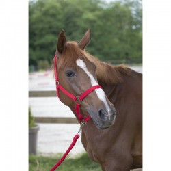 Cabezada de cuadra con ramal Riding World Club