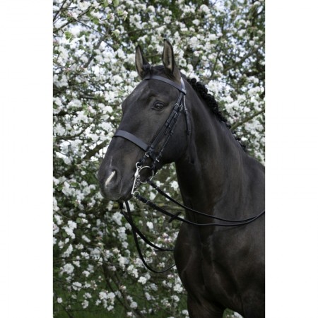 Brida de doma de doble rienda RIDING WORLD