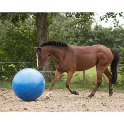 Pelota para caballo
