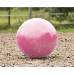 Pelota para caballo