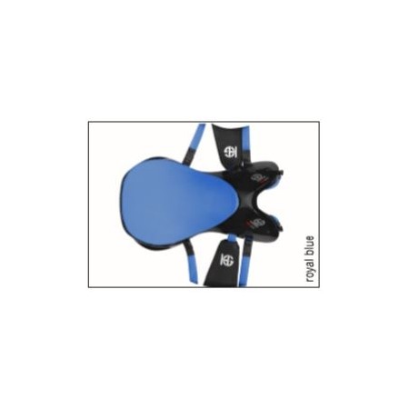 Silla de Raid Full Carbon de HG ASC (Asiento Completo)