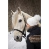 Gorro Beta "EIGHTY-FIVE" de EQUITHÈME