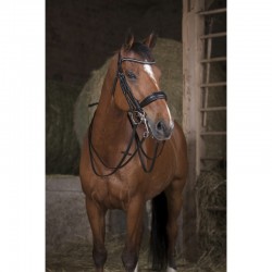 Riendas para brida NORTON PRO