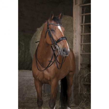 Riendas para brida NORTON PRO