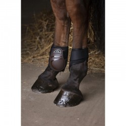 Protectores de Menudillo NORTON XTR