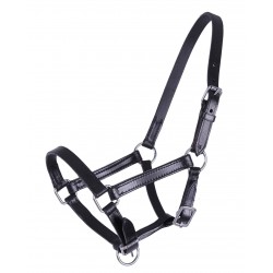 Cabezada de cuadra de piel para potro QHP Chico