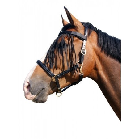 Mosquero Anti-Insectos para Caballo y Poni
