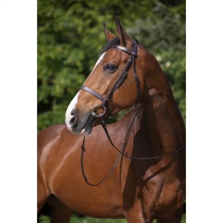 Cabezada de montar con muserola francesa RIDING WORLD