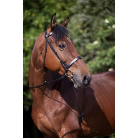 Cabezada de montar con muserola francesa RIDING WORLD