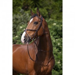 Cabezada de montar con muserola mejicana Riding Word 