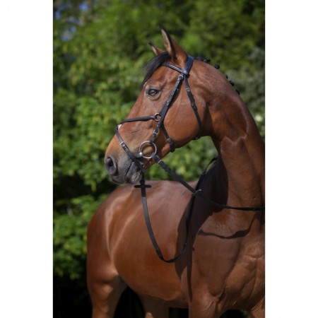 Cabezada de montar con muserola mejicana Riding Word 