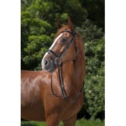 Cabezada de montar con muserola combinada de Riding World 2