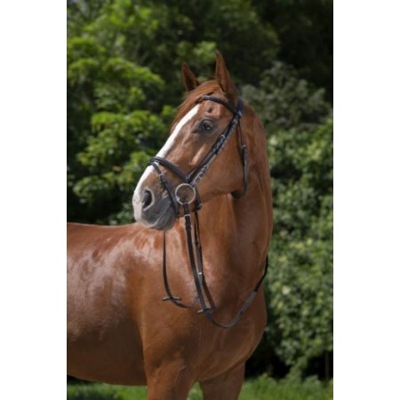 Cabezada de montar con muserola combinada de Riding World