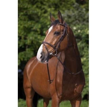 Cabezada de montar con muserola combinada de Riding World