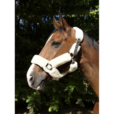Cabezada de Cuadra Teddy de Equithème