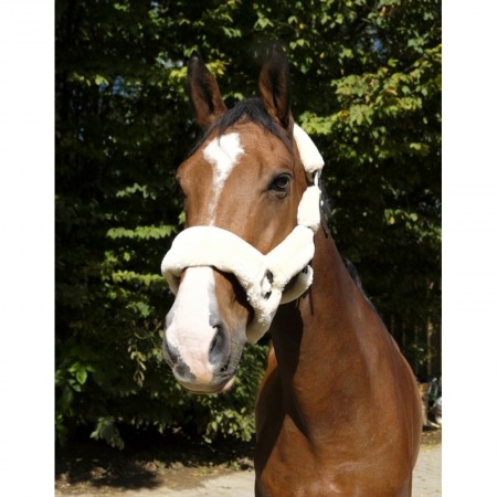 Cabezada de Cuadra Teddy de Equithème