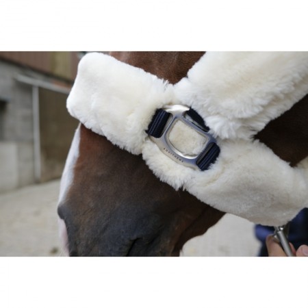 Cabezada de Cuadra Teddy de Equithème