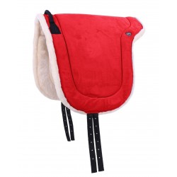 Bareback de QHP para Caballo o Poni