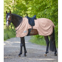 Manta antimoscas de paseo Waldhausen Protect