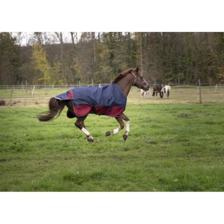 Manta de Paddock con Acolchado 50 g Equi-thème Tyrex 1200 D