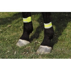 Vendas reflectantes para caballo 2