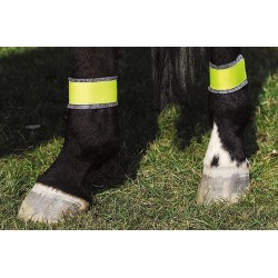 Vendas reflectantes para los posteriores del caballo 2