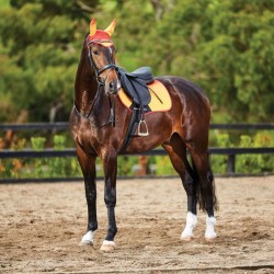 Oferta de Orejeras Prime Ombre de Weatherbeeta para Poni 2