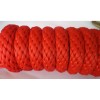 Ramal con hebillas satinado dorado de EQUITHÈME