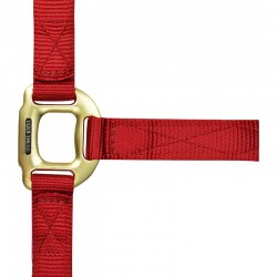 Cabezada de cuadra de nylon con hebillas satinado dorado de EQUITHÈME