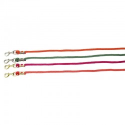 Ramal con hebillas satinado dorado de EQUITHÈME