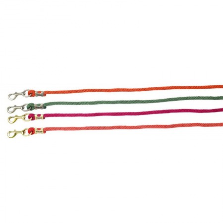 Ramal con hebillas satinado dorado de EQUITHÈME