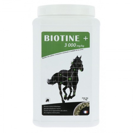 Biotina 3000 de ODM para Caballos