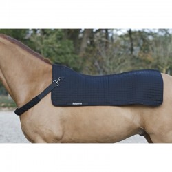Calentador para Dorso "ROYAL" de BACK ON TRACK® 2