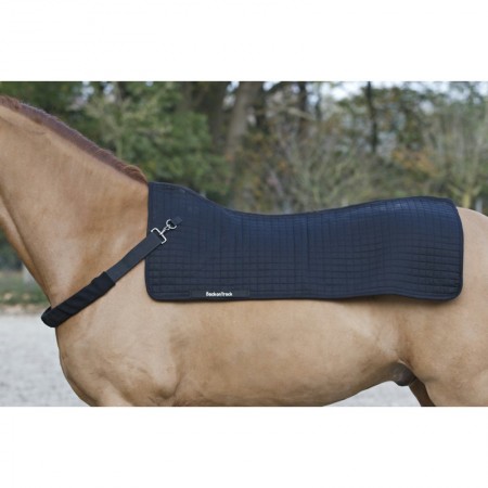Correas para Calentador de Dorso de BACK ON TRACK®