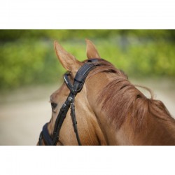 Protector de Testera de BACK ON TRACK® para caballos 2