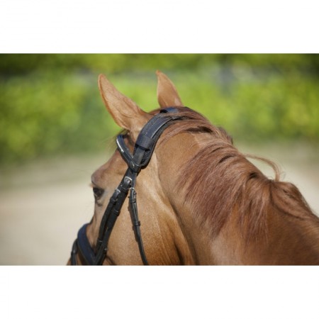 Protector de Testera de BACK ON TRACK® para caballos