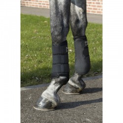 Protectores Flexibles 3D Mesh de BACK ON TRACK® 2