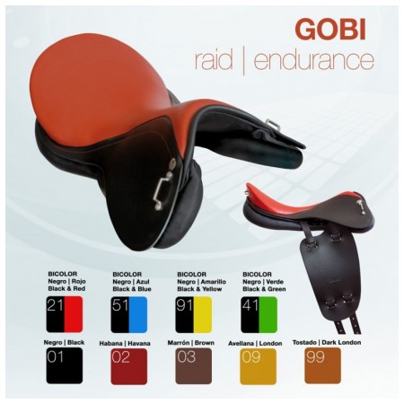 Silla raid Zaldi Gobi