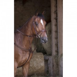 Pecho petral con elástico y tijerillas para caballo de Norton Pro 2