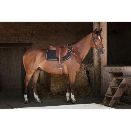Comprar pechopetral con tijerillas Hybrid Online