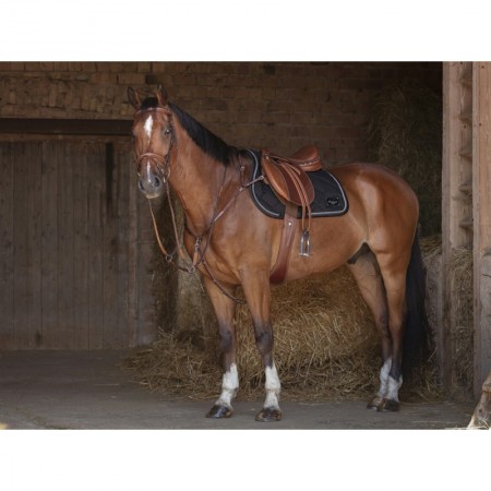 Comprar pechopetral con tijerillas Hybrid Online