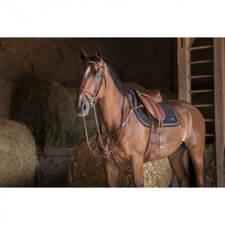 Comprar pechopetral con tijerillas Hybrid Online