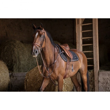Comprar pechopetral con tijerillas Hybrid Online
